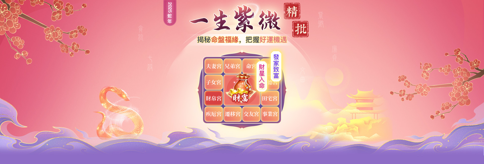 紫微命格详批